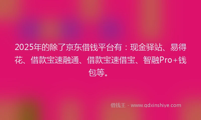 2025年的除了京东借钱平台有：现金驿站、易得花、借款宝速融通、借款宝速借宝、智融Pro+钱包等。