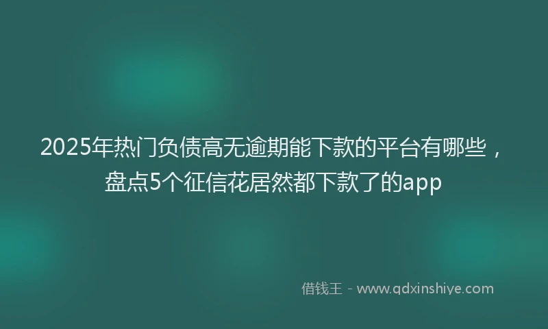 2025年热门负债高无逾期能下款的平台有哪些，盘点5个征信花居然都下款了的app