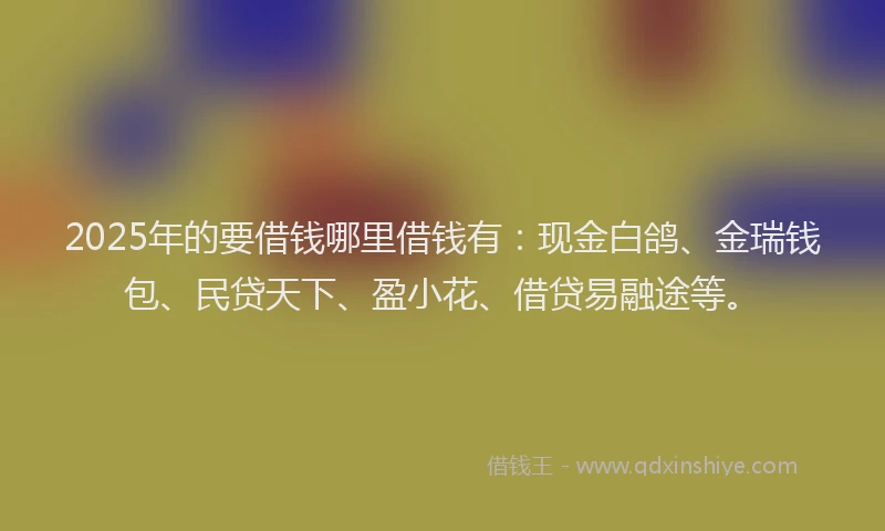 2025年的要借钱哪里借钱有：现金白鸽、金瑞钱包、民贷天下、盈小花、借贷易融途等。
