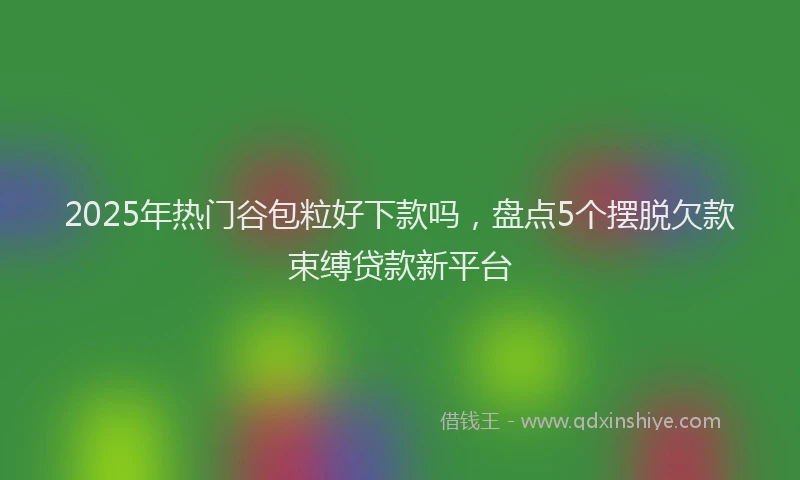 2025年热门谷包粒好下款吗，盘点5个摆脱欠款束缚贷款新平台