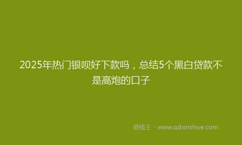 2025年热门银呗好下款吗，总结5个黑白贷款不是高炮的口子