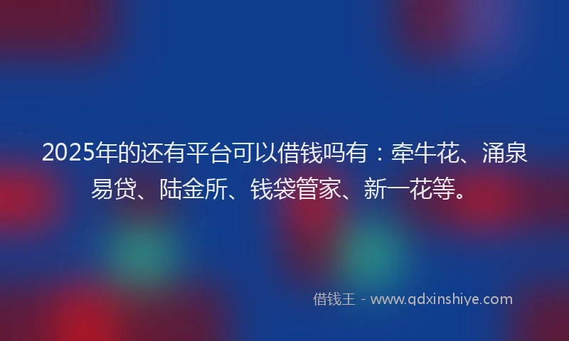 2025年的还有平台可以借钱吗有：牵牛花、涌泉易贷、陆金所、钱袋管家、新一花等。