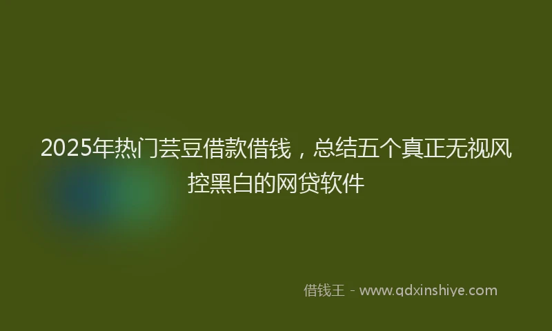 2025年热门芸豆借款借钱,总结五个真正无视风控黑白的网贷软件