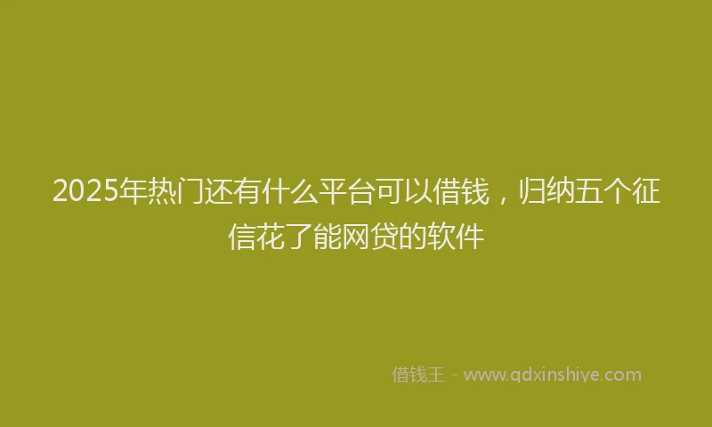 2025年热门还有什么平台可以借钱,归纳五个征信花了能网贷的软件