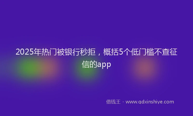 2025年热门被银行秒拒,概括5个低门槛不查征信的app