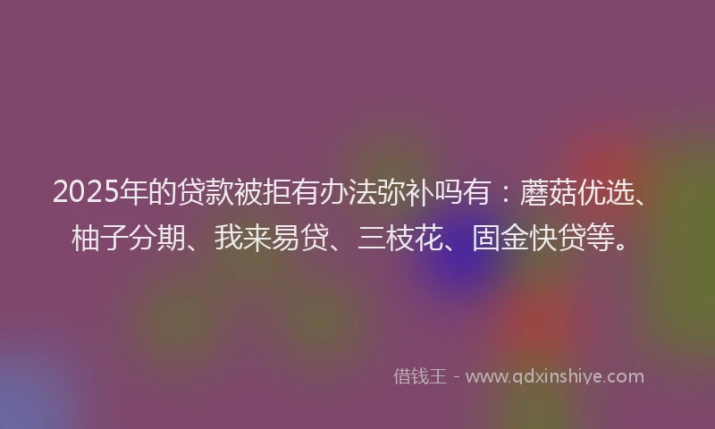 2025年的贷款被拒有办法弥补吗有：蘑菇优选、柚子分期、我来易贷、三枝花、固金快贷等。