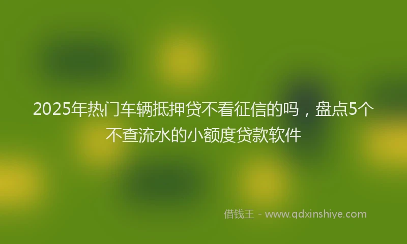 2025年热门车辆抵押贷不看征信的吗，盘点5个不查流水的小额度贷款软件