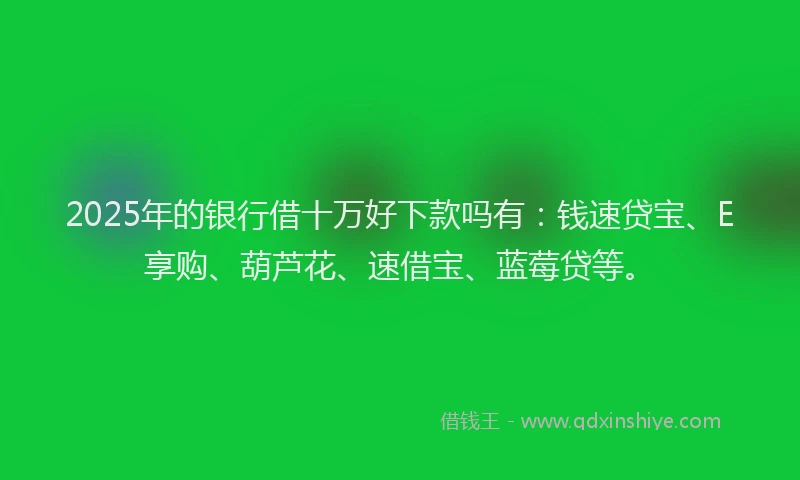 2025年的银行借十万好下款吗有：钱速贷宝、E享购、葫芦花、速借宝、蓝莓贷等。