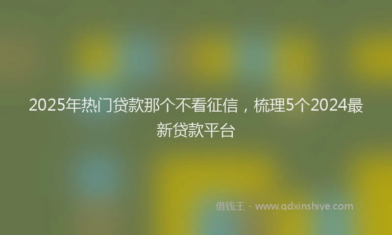 2025年热门贷款那个不看征信，梳理5个2024最新贷款平台