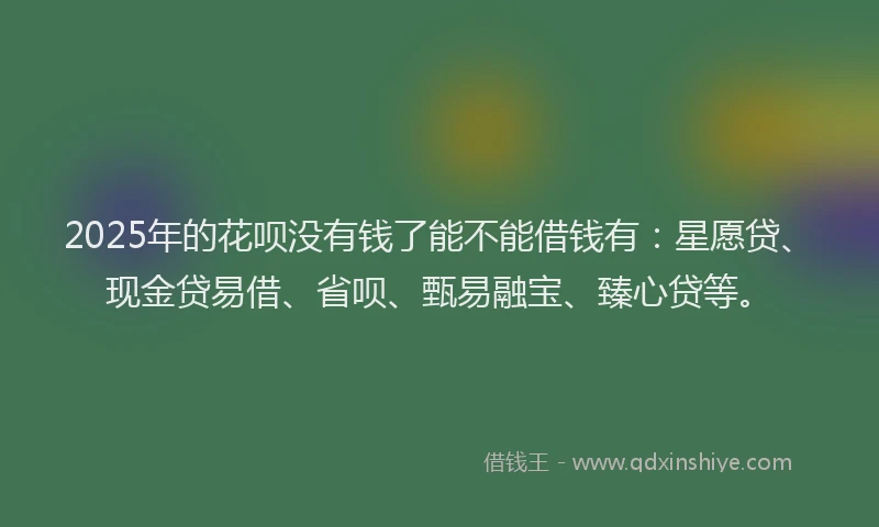 2025年的花呗没有钱了能不能借钱有：星愿贷、现金贷易借、省呗、甄易融宝、臻心贷等。