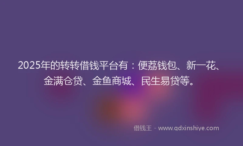 2025年的转转借钱平台有：便荔钱包、新一花、金满仓贷、金鱼商城、民生易贷等。