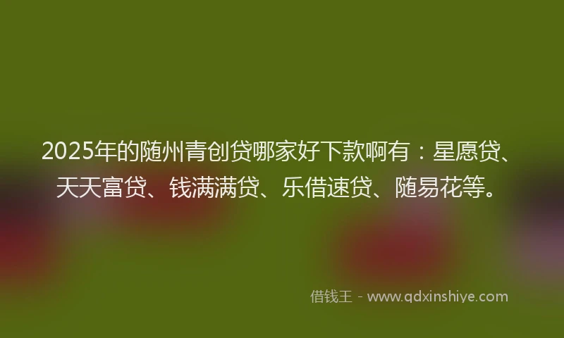 2025年的随州青创贷哪家好下款啊有：星愿贷、天天富贷、钱满满贷、乐借速贷、随易花等。