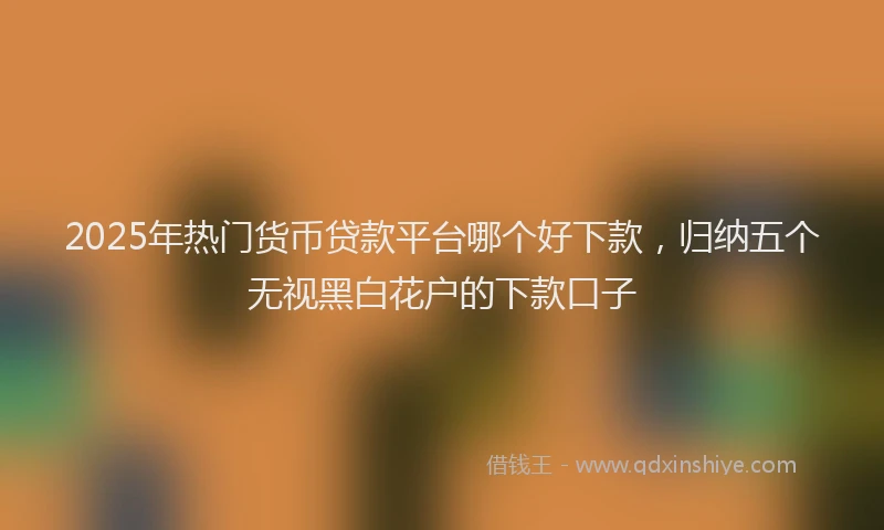 2025年热门货币贷款平台哪个好下款，归纳五个无视黑白花户的下款口子