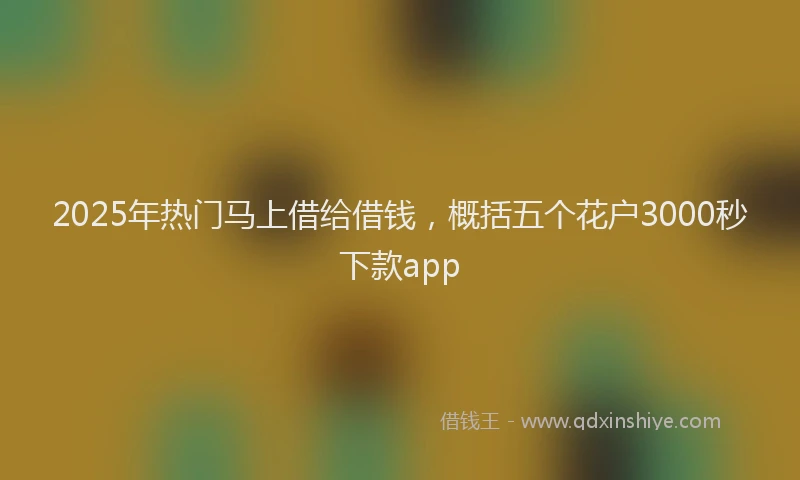 2025年热门马上借给借钱，概括五个花户3000秒下款app