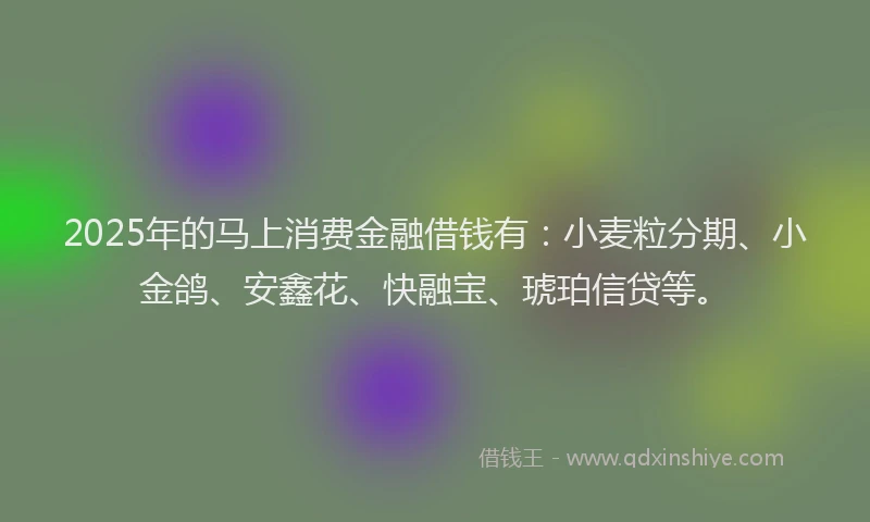 2025年的马上消费金融借钱有：小麦粒分期、小金鸽、安鑫花、快融宝、琥珀信贷等。