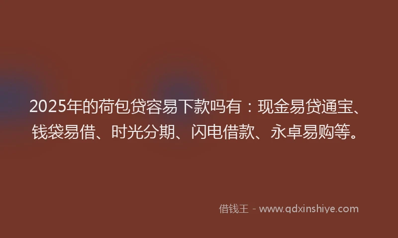 2025年的荷包贷容易下款吗有:现金易贷通宝、钱袋易借、时光分期、闪电借款、永卓易购等。