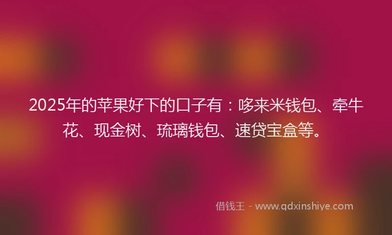 2025年的苹果好下的口子有：哆来米钱包、牵牛花、现金树、琉璃钱包、速贷宝盒等。