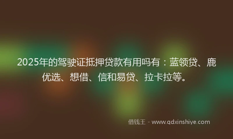 2025年的驾驶证抵押贷款有用吗有：蓝领贷、鹿优选、想借、信和易贷、拉卡拉等。
