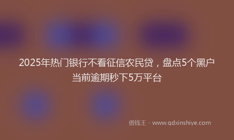 2025年热门银行不看征信农民贷，盘点5个黑户当前逾期秒下5万平台