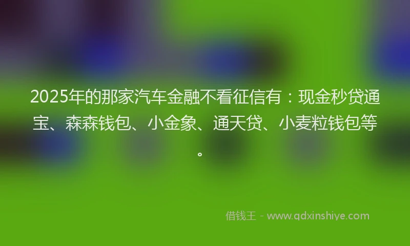 2025年的那家汽车金融不看征信有:现金秒贷通宝、森森钱包、小金象、通天贷、小麦粒钱包等。