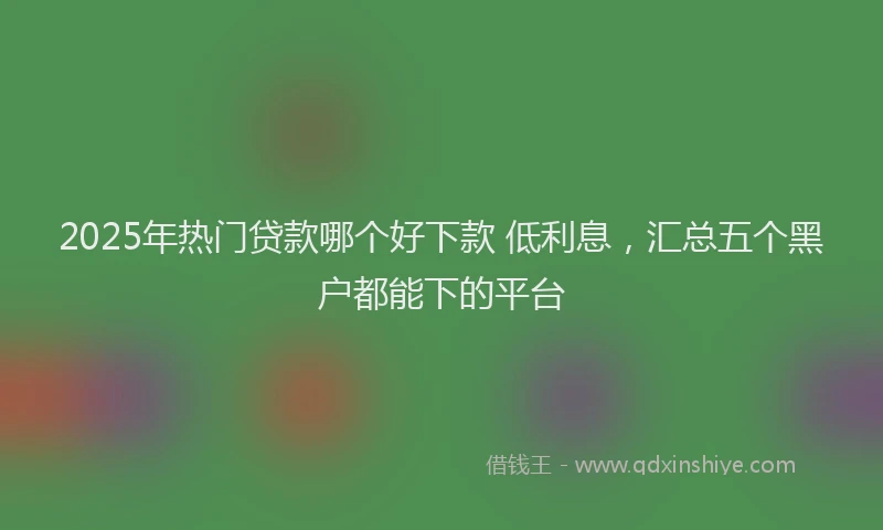 2025年热门贷款哪个好下款 低利息,汇总五个黑户都能下的平台