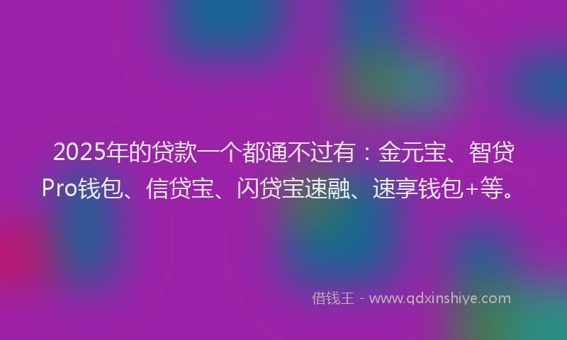 2025年的贷款一个都通不过有:金元宝、智贷Pro钱包、信贷宝、闪贷宝速融、速享钱包+等。