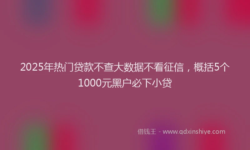 2025年热门贷款不查大数据不看征信,概括5个1000元黑户必下小贷