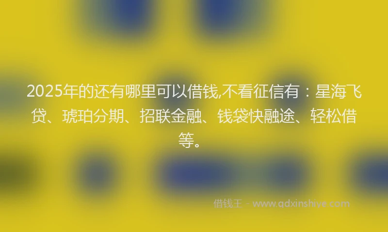 2025年的还有哪里可以借钱,不看征信有：星海飞贷、琥珀分期、招联金融、钱袋快融途、轻松借等。