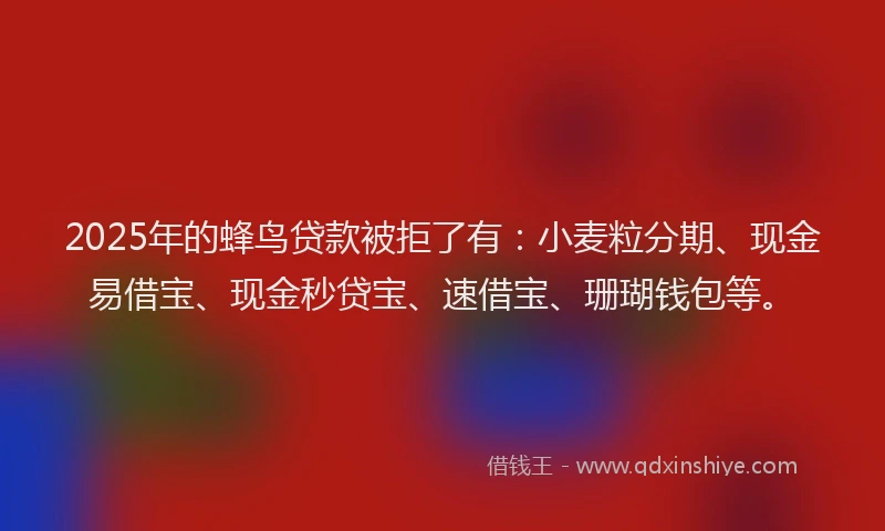 2025年的蜂鸟贷款被拒了有：小麦粒分期、现金易借宝、现金秒贷宝、速借宝、珊瑚钱包等。