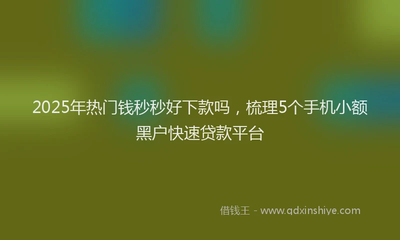 2025年热门钱秒秒好下款吗，梳理5个手机小额黑户快速贷款平台