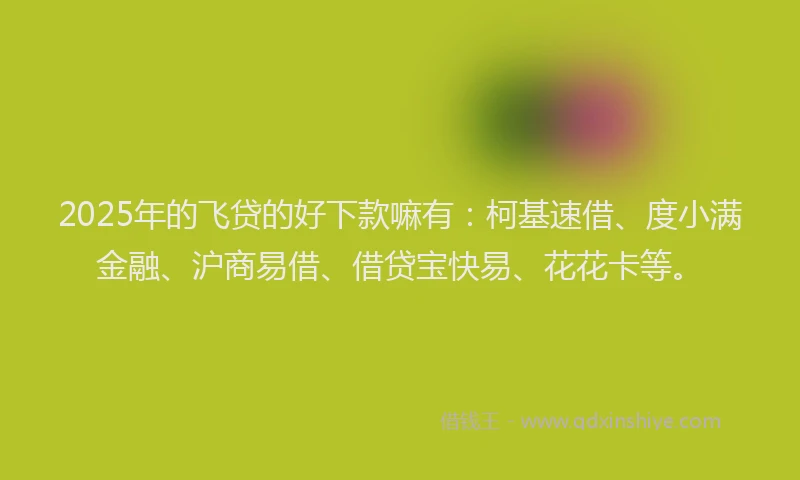 2025年的飞贷的好下款嘛有:柯基速借、度小满金融、沪商易借、借贷宝快易、花花卡等。