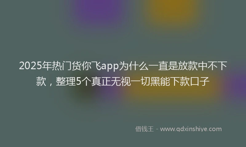 2025年热门货你飞app为什么一直是放款中不下款，整理5个真正无视一切黑能下款口子