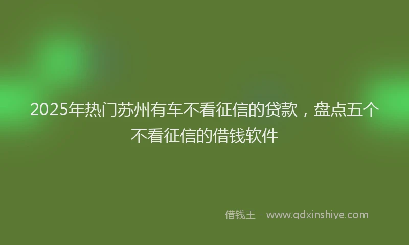 2025年热门苏州有车不看征信的贷款，盘点五个不看征信的借钱软件