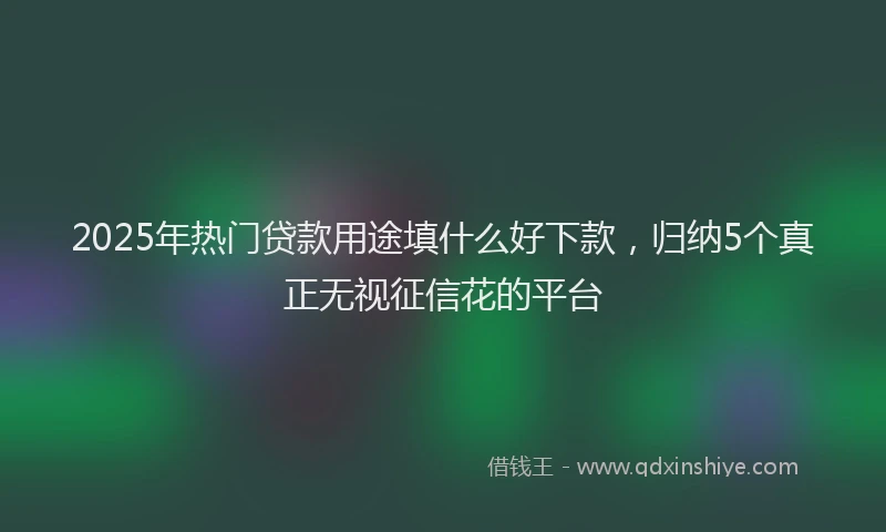 2025年热门贷款用途填什么好下款,归纳5个真正无视征信花的平台
