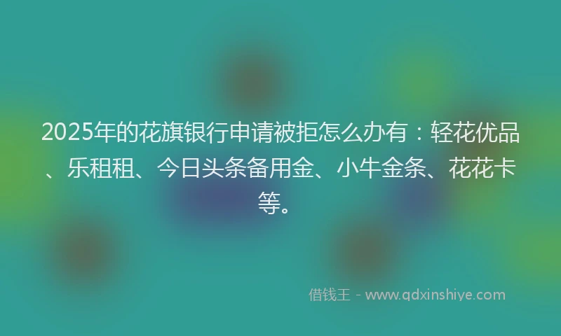2025年的花旗银行申请被拒怎么办有：轻花优品、乐租租、今日头条备用金、小牛金条、花花卡等。
