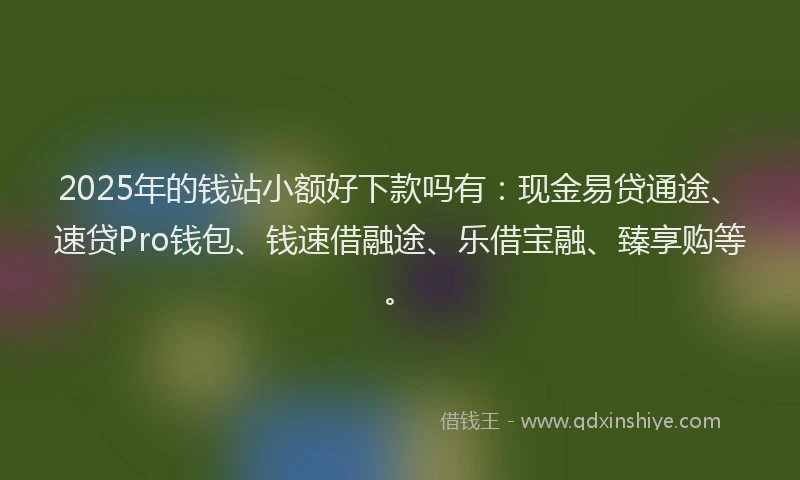 2025年的钱站小额好下款吗有：现金易贷通途、速贷Pro钱包、钱速借融途、乐借宝融、臻享购等。