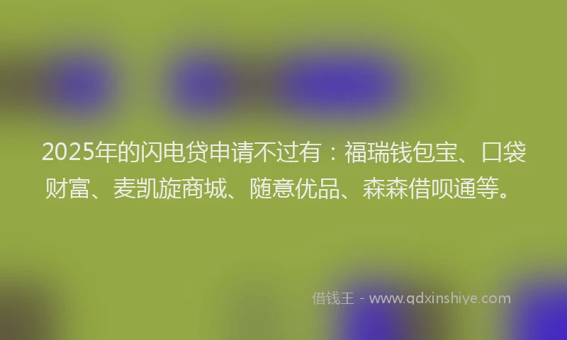2025年的闪电贷申请不过有：福瑞钱包宝、口袋财富、麦凯旋商城、随意优品、森森借呗通等。