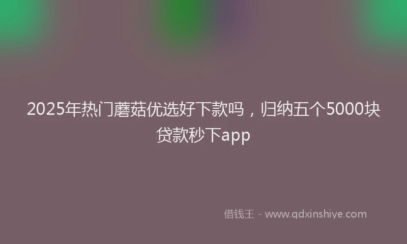 2025年热门蘑菇优选好下款吗，归纳五个5000块贷款秒下app