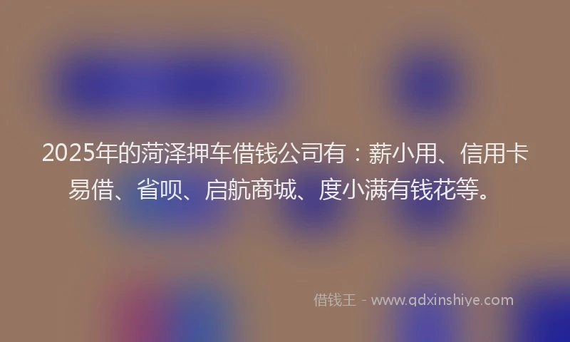 2025年的菏泽押车借钱公司有：薪小用、信用卡易借、省呗、启航商城、度小满有钱花等。