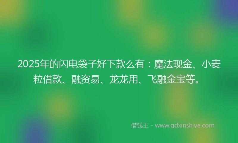 2025年的闪电袋子好下款么有：魔法现金、小麦粒借款、融资易、龙龙用、飞融金宝等。