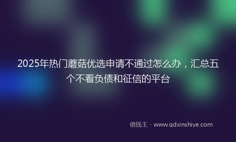 2025年热门蘑菇优选申请不通过怎么办，汇总五个不看负债和征信的平台