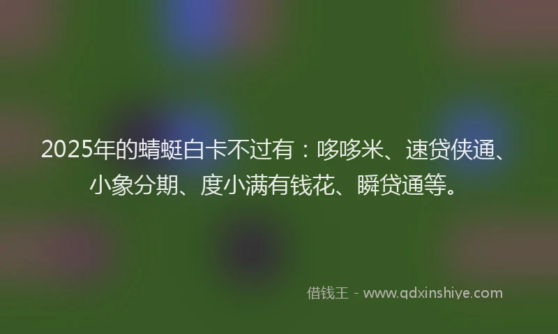 2025年的蜻蜓白卡不过有：哆哆米、速贷侠通、小象分期、度小满有钱花、瞬贷通等。