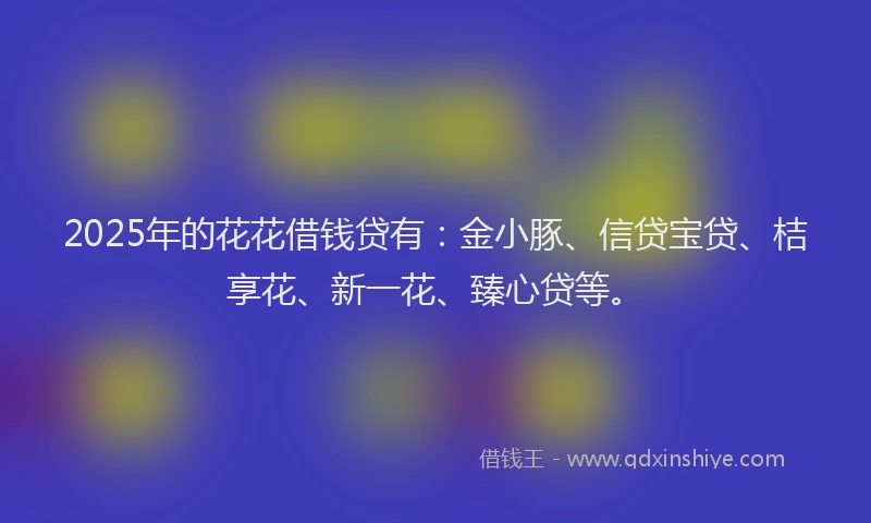 2025年的花花借钱贷有：金小豚、信贷宝贷、桔享花、新一花、臻心贷等。