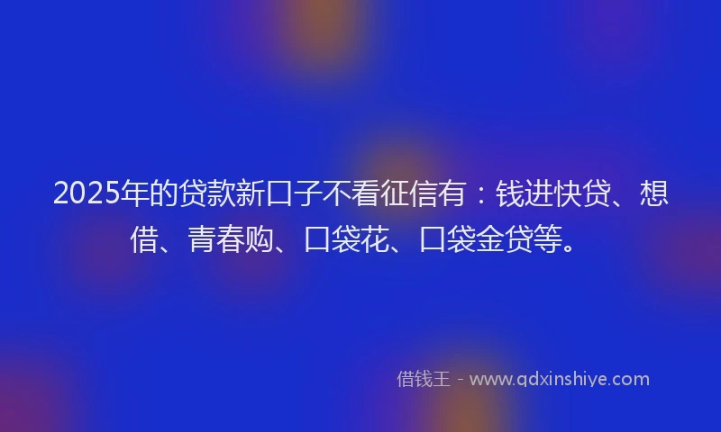 2025年的贷款新口子不看征信有:钱进快贷、想借、青春购、口袋花、口袋金贷等。