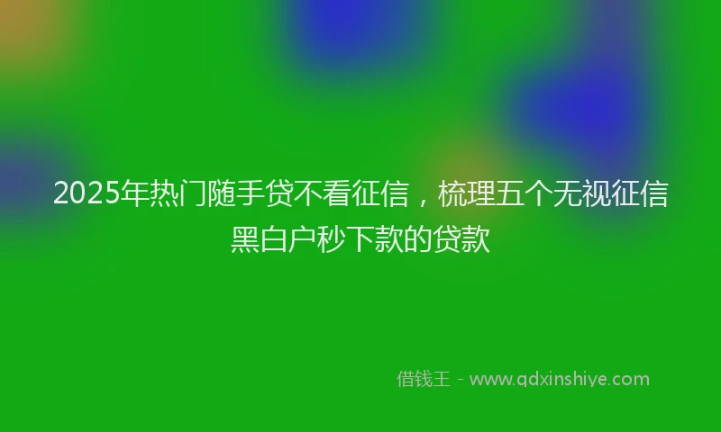 2025年热门随手贷不看征信，梳理五个无视征信黑白户秒下款的贷款