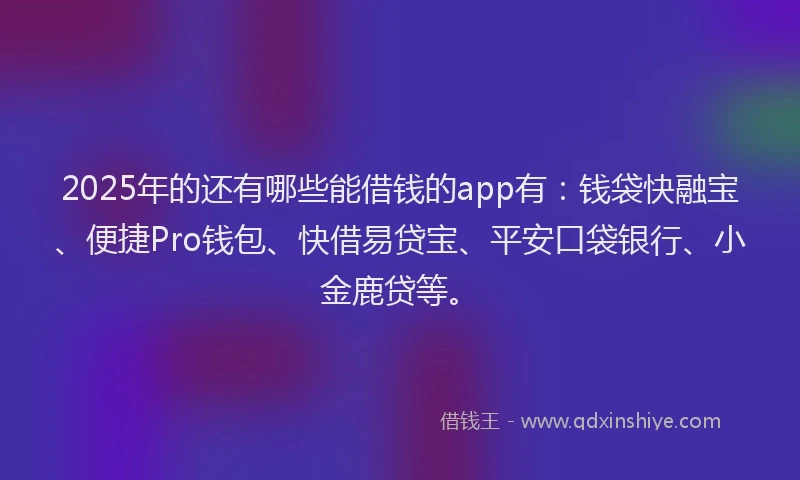 2025年的还有哪些能借钱的app有：钱袋快融宝、便捷Pro钱包、快借易贷宝、平安口袋银行、小金鹿贷等。