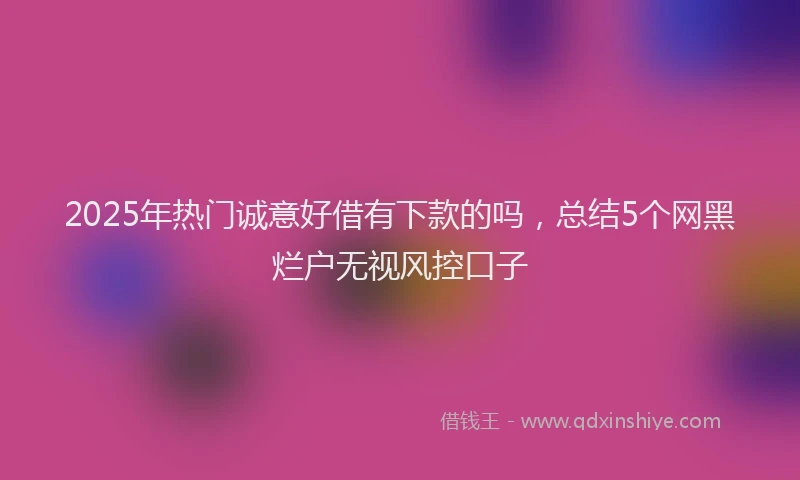 2025年热门诚意好借有下款的吗，总结5个网黑烂户无视风控口子