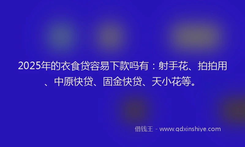 2025年的衣食贷容易下款吗有:射手花、拍拍用、中原快贷、固金快贷、天小花等。