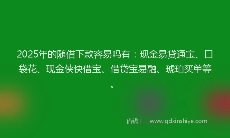 2025年的随借下款容易吗有：现金易贷通宝、口袋花、现金侠快借宝、借贷宝易融、琥珀买单等。