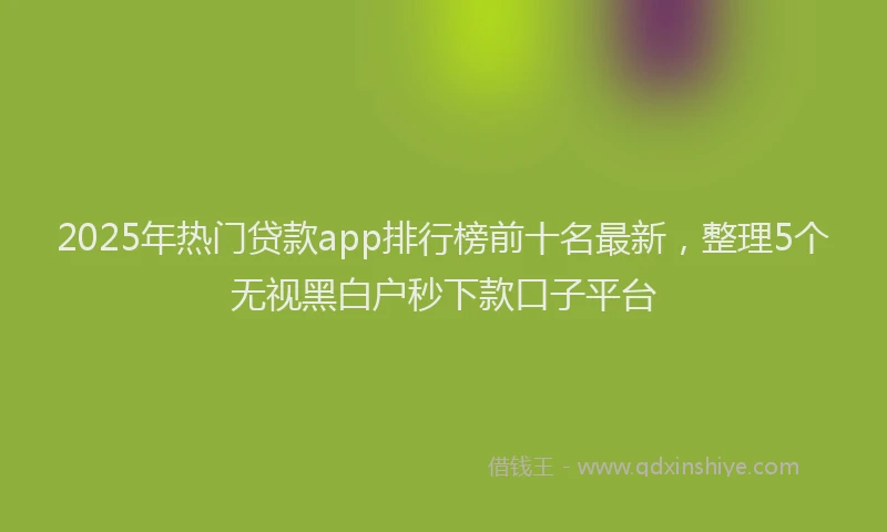 2025年热门贷款app排行榜前十名最新，整理5个无视黑白户秒下款口子平台